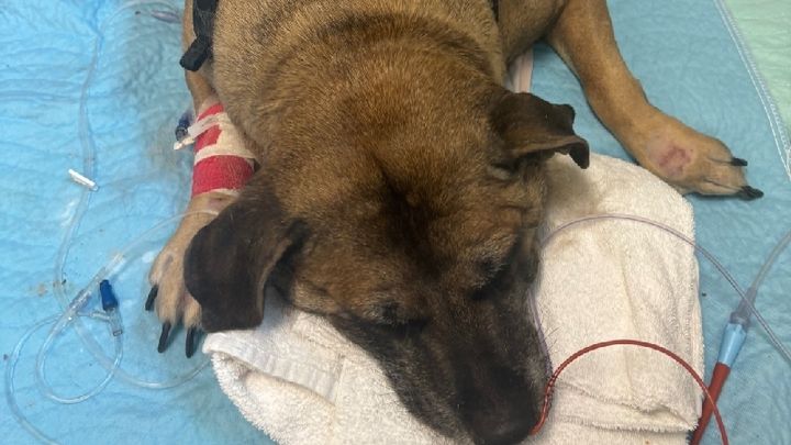 Help Bruce Recover After House Fire campaign photo, 1 of 12