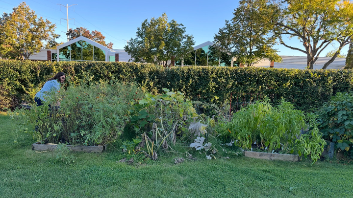 Build a Garden for the Northbrook Cancer Wellness Center campaign photo, 1 of 3