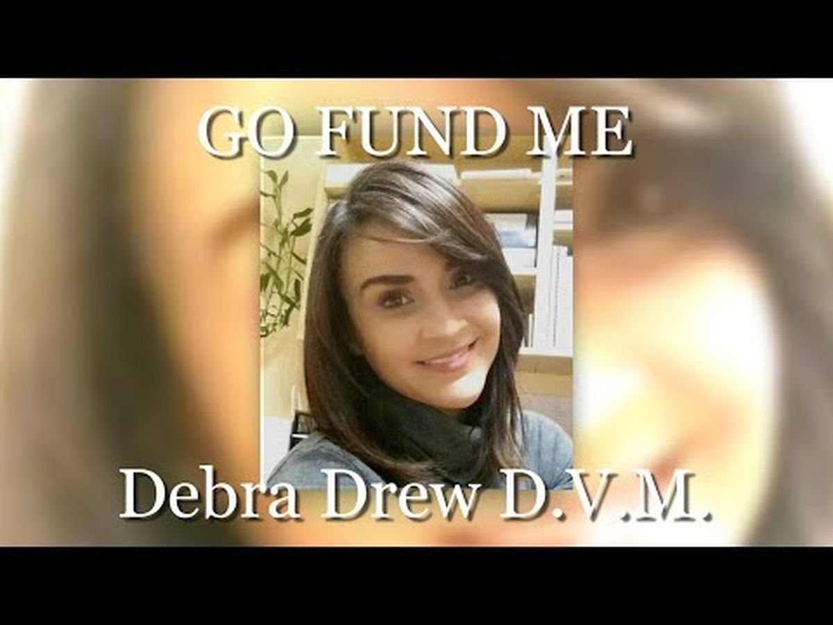Fundraiser’s main image