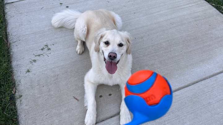 Main fundraiser photo