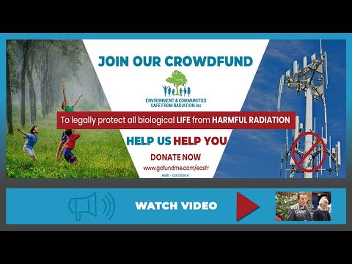 Fundraiser’s main image