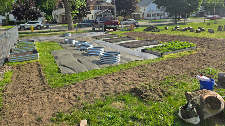 Revive Our School Garden – Growing Together Starts Here campaign photo, 1 of 4