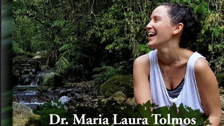 A forest for the school garden- in memory of Maria L. Tolmos