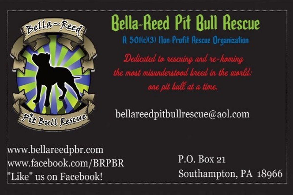 Bella reed deals pitbull rescue