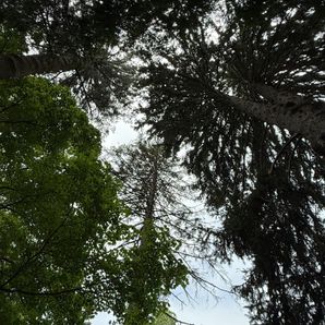 Support Tay in her education.