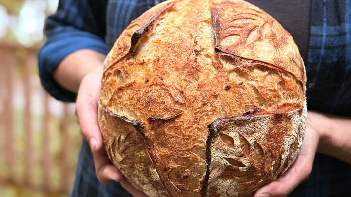 Help Nina & Nate Bake More Sourdough Bread campaign photo, 1 of 8