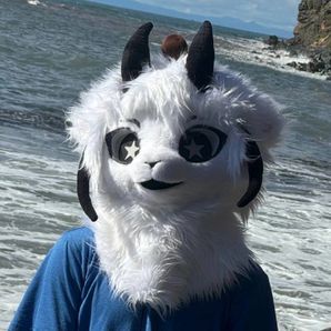 GoFundMe profile picture for @pluto