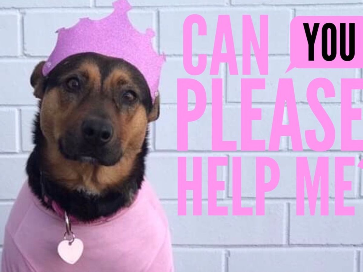 Fundraiser’s main image