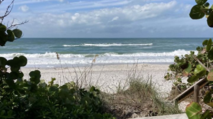 Help Restore Public Parking for Beach Access in Boca Grande campaign photo, 1 of 8