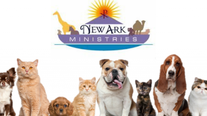 Main fundraiser photo