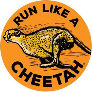 RUN LIKE A CHEETAH