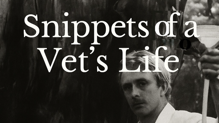 Help Publish ‘Snippets of a Vet’s Life’ campaign photo, 1 of 4