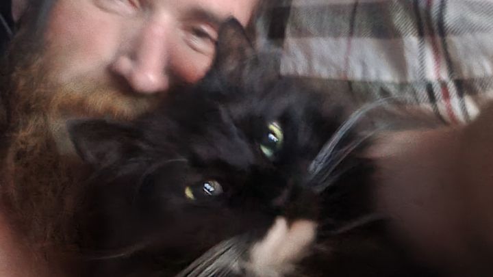 Fundraiser By James Robison Cats Colon Removal Surgery 