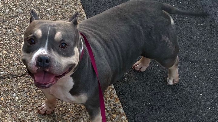 Get Mama Bully into the Retirement Home she Deserves campaign photo, 1 of 3