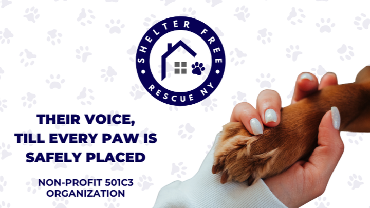 "Help us clear the shelters" campaign photo, 1 of 3