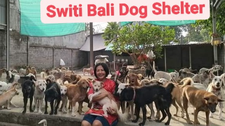 Help Heidi Save 150 Bali Dogs — No Birthday Gifts, Just Hope campaign photo, 1 of 8