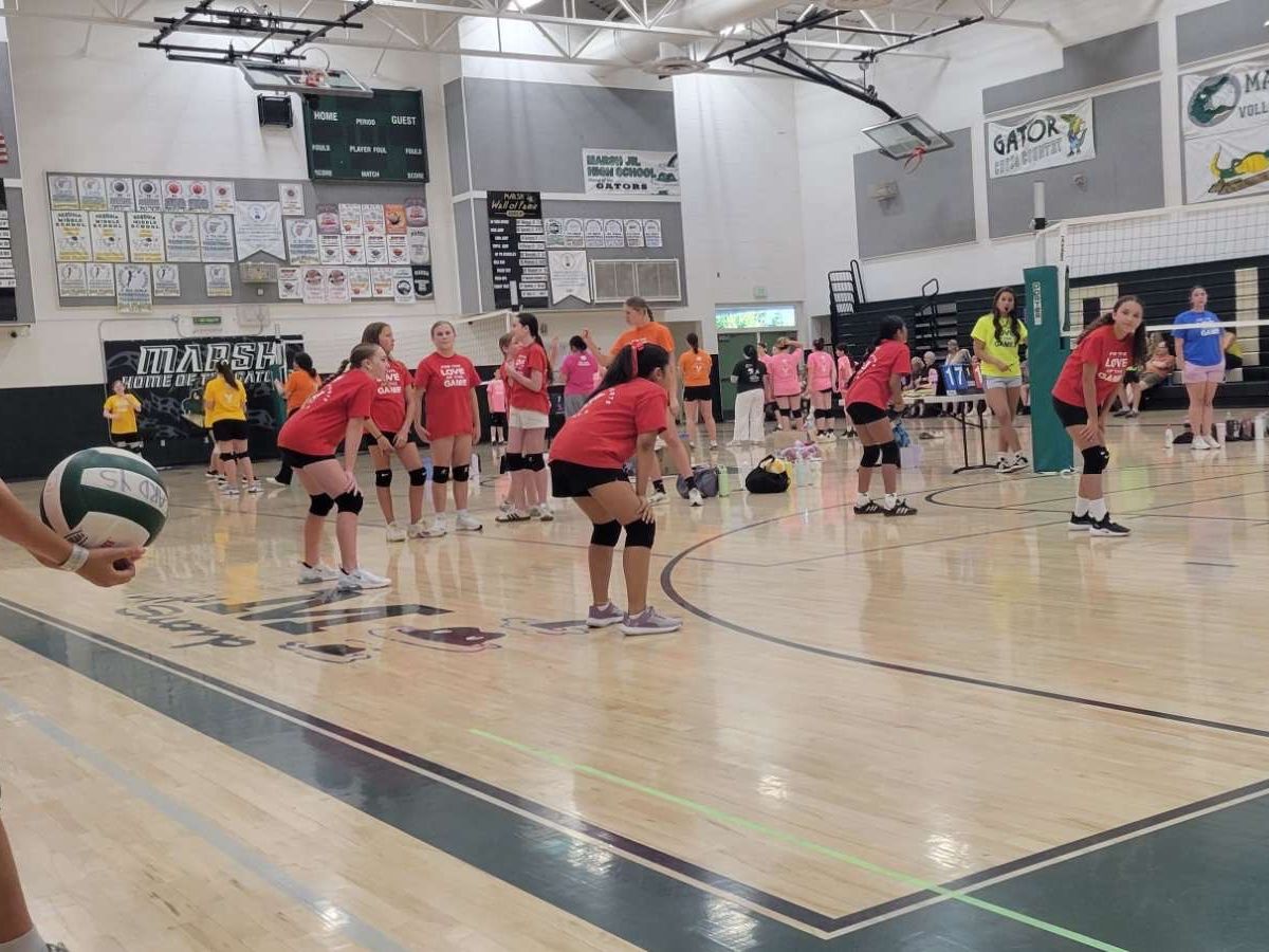 Travel Course Fundraiser by jayleen andrews : Help Jayleen Join Travel Volleyball