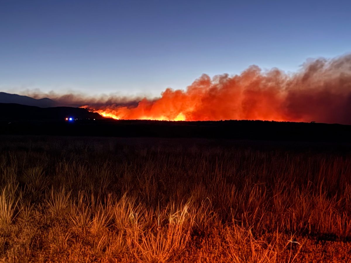 Help Lizza Recover After Colorado Fire campaign photo, 1 of 2