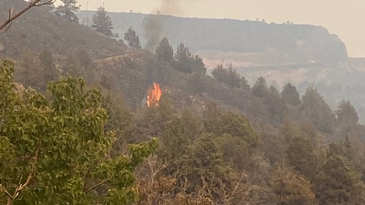 Support Caroline’s Recovery from Wildfire Devastation campaign photo, 1 of 13