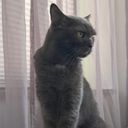 Profile photo of Annerose Luisa Julie Kopp