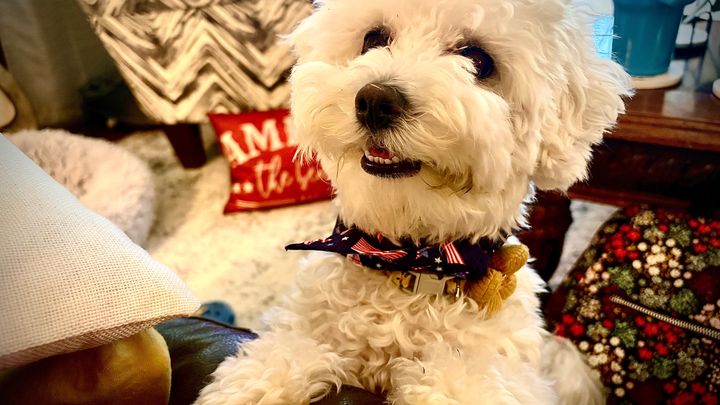 Support Stella's Lifesaving Care campaign photo, 1 of 3