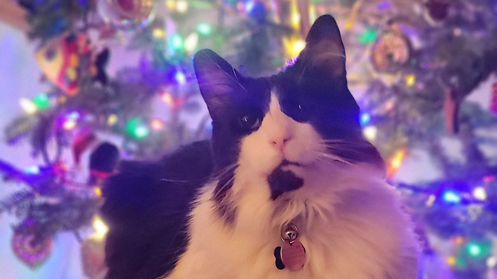 Help support expenses for Tobio's surgery campaign photo, 1 of 7