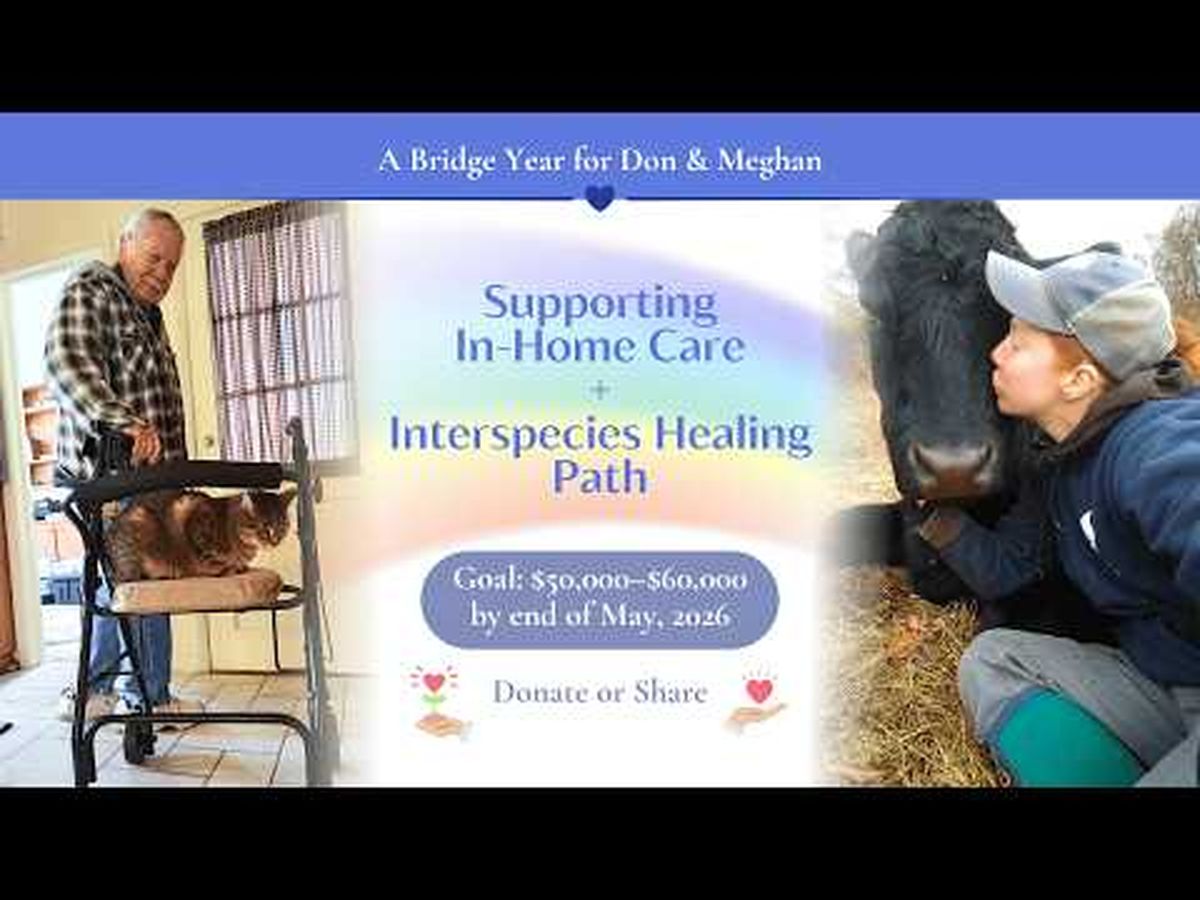 Fundraiser’s main image