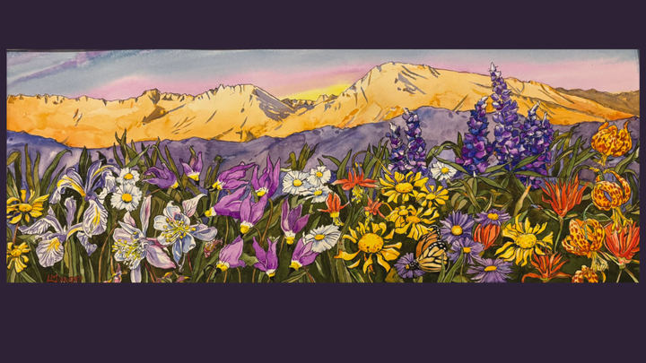 Help Downtown Bishop Bloom with Color, Art, and Energy! campaign photo, 1 of 5