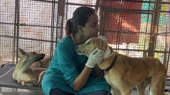 The Pratapgarh Animals First Rehab Centre campaign photo, 1 of 3