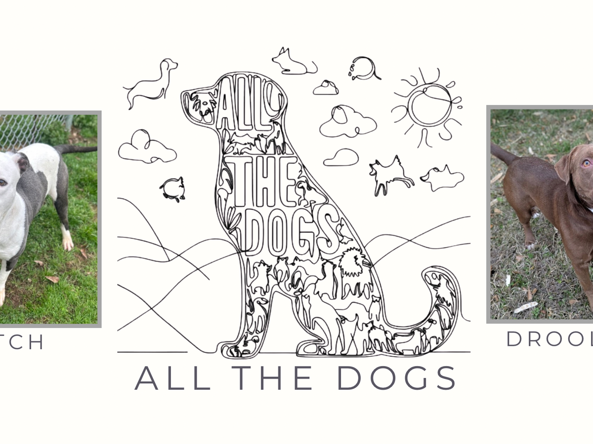 Fundraiser’s main image