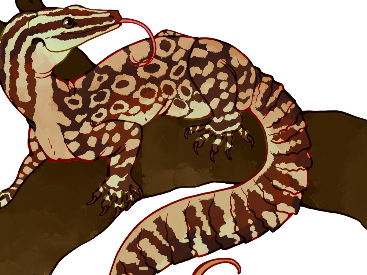 Fundraiser’s main image