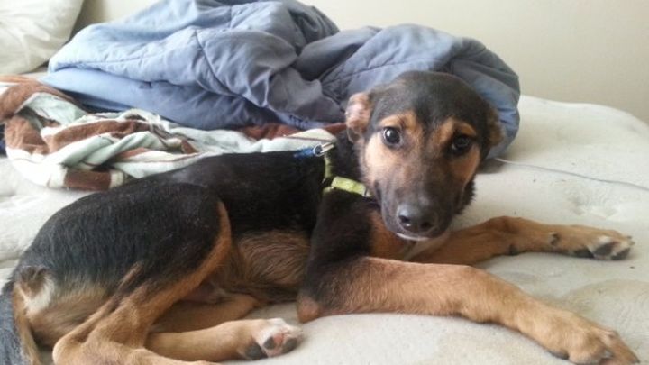 Main fundraiser photo