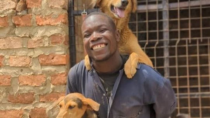 30 stray dogs will loose their home and life ! campaign photo, 1 of 5