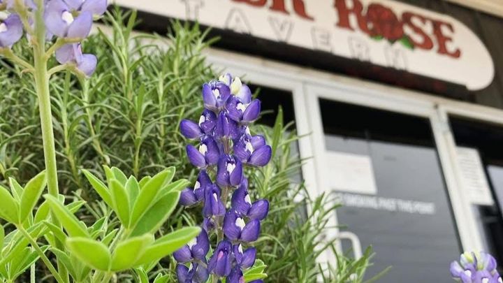 Donate to Aid River Rose Tavern Workers campaign photo, 1 of 5