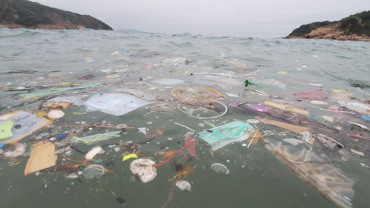 Save the Ocean from COVID-19 Pollution & Beyond campaign photo, 1 of 2