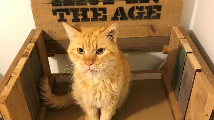 Main fundraiser photo