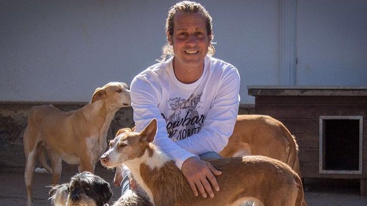 Salvemos a los perros campaign photo, 1 of 3