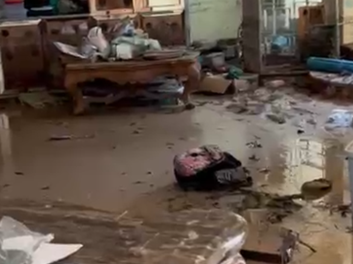 Help the Christies Rebuild After Hurricane Melissa campaign photo, 1 of 8