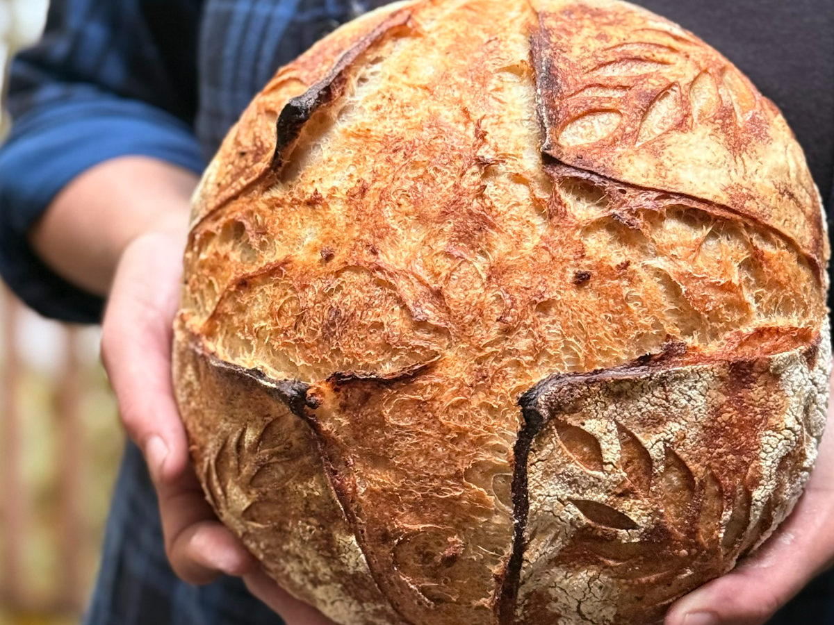 Help Nina & Nate Bake More Sourdough Bread campaign photo, 1 of 8