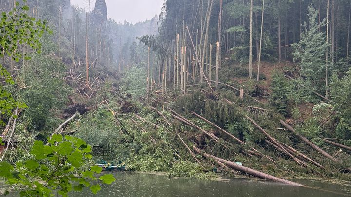 „Sturmkatastrophe am Amselsee – Helft uns beim Wiederaufbau“