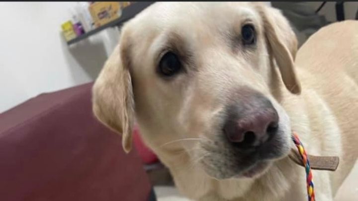 Main fundraiser photo