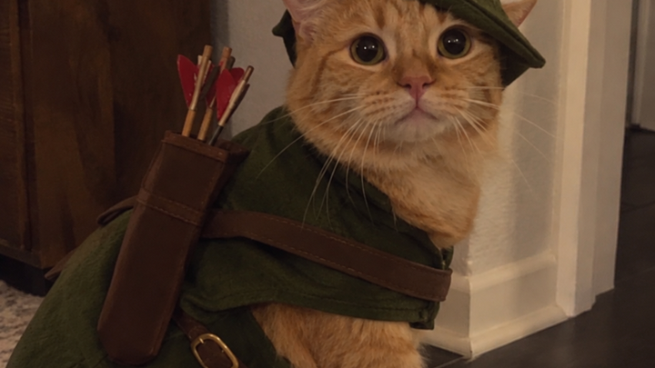 Support for Robin Hood's Justice Fund campaign photo, 1 of 3