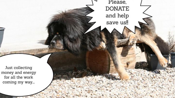 Main fundraiser photo