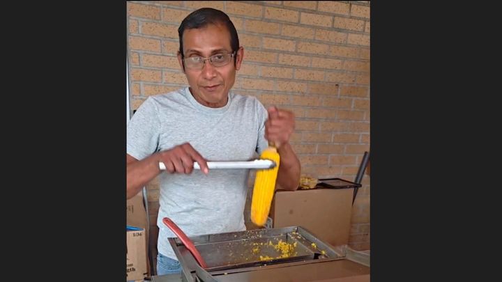 Let’s Help Ivan, Who Feeds 40 Cats Every Night,Keep His home
