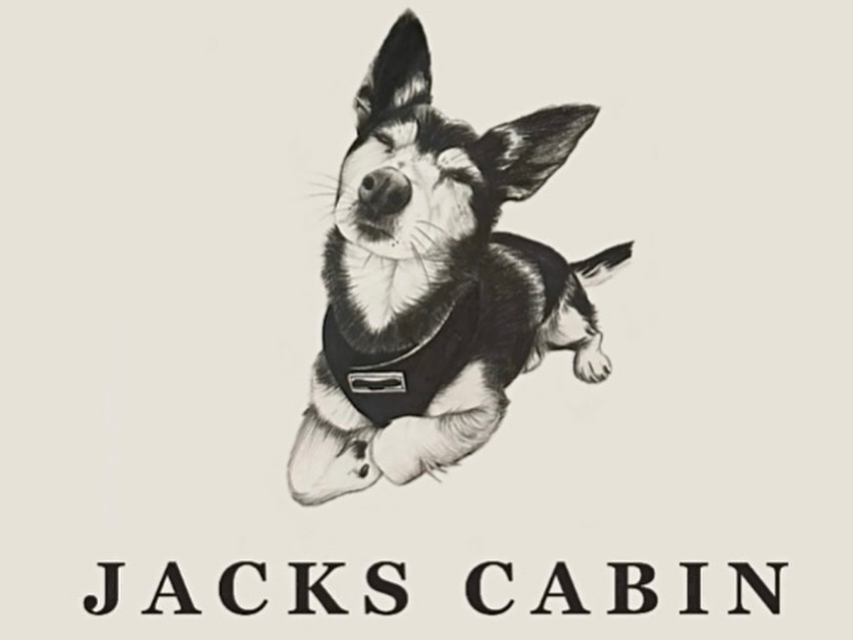 Fundraiser’s main image