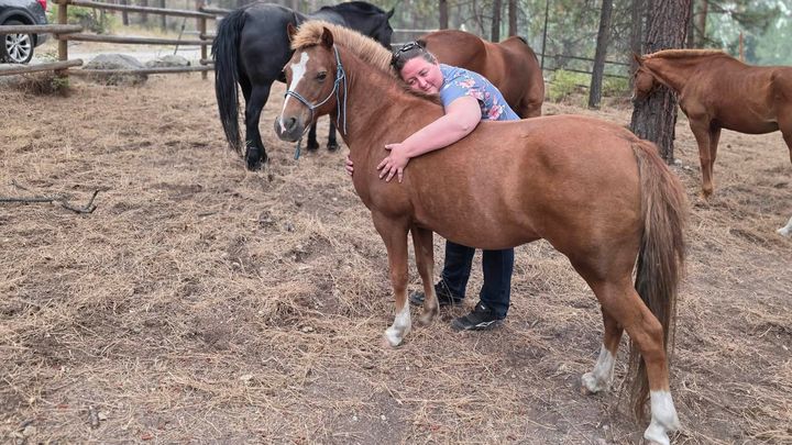 BALD RANGE FIRE RECOVERY - NEW BEGINNINGS ANIMAL SANCTUARY campaign photo, 1 of 5