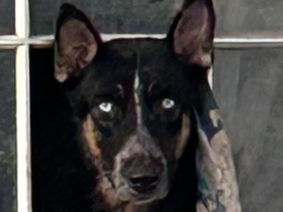Fundraiser’s main image