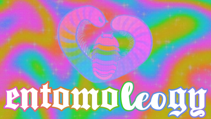 Leo’s Bug Business Fund (entomoleogy) campaign photo, 1 of 4