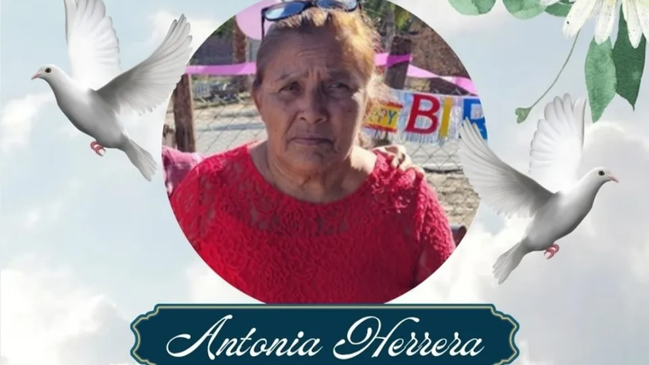 Antonia Herrera Aspeitia campaign photo, 1 of 6