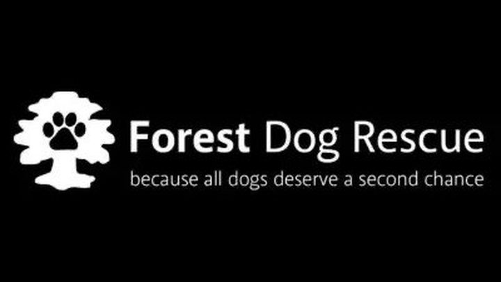 Giving back to dogs in need campaign photo, 1 of 5